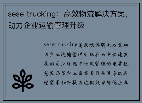 sese trucking：高效物流解决方案，助力企业运输管理升级